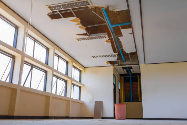Best Residential water damage restoration  in Mcgraw, NY