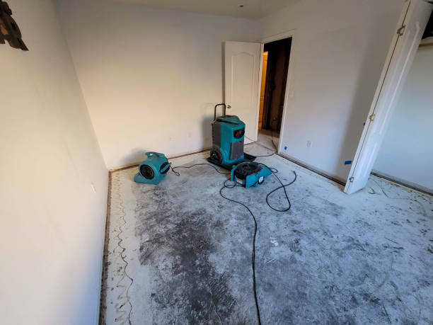 Best Local water damage restoration  in Mcgraw, NY
