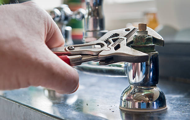 Best Flood damage cleanup  in Mcgraw, NY