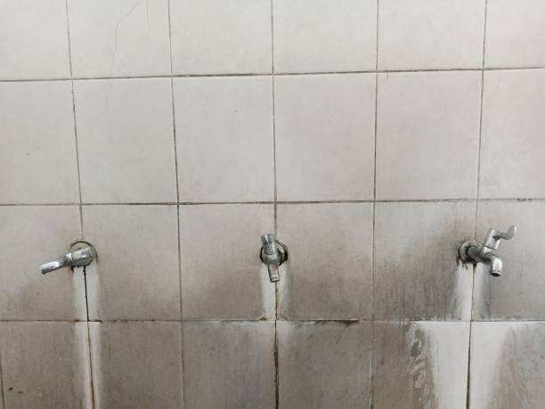Best Carpet water damage restoration  in Mcgraw, NY